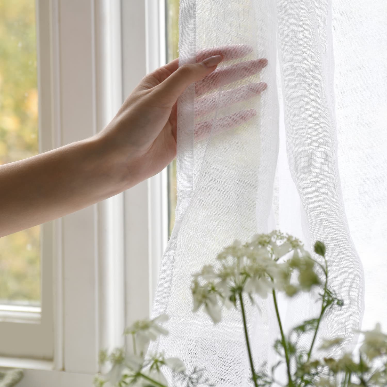 A hand gently touches sheer white curtains by a window, with soft light filtering through. White flowers are visible in the foreground.