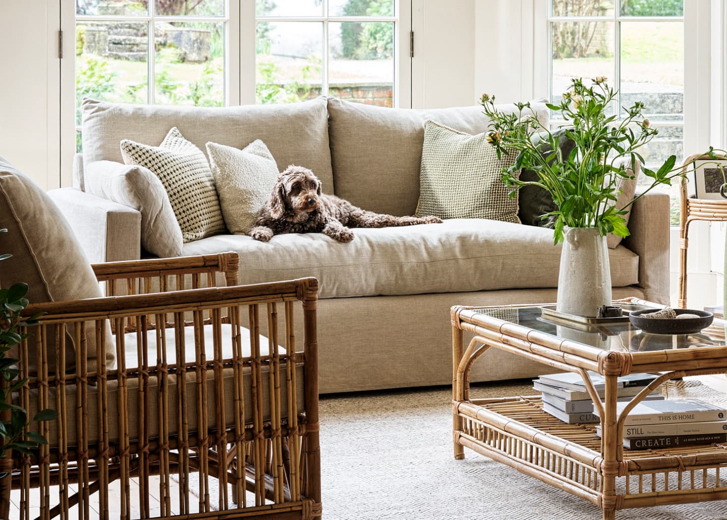 A warm living room with a fluffy dog lounging on a beige sofa, surrounded by patterned cushions. Glass coffee table and rattan chairs complement the décor.