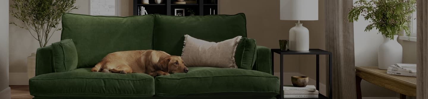 A brown dog lies on a green velvet sofa with a beige pillow, surrounded by potted plants and a side table with a lamp in a cozy living room.