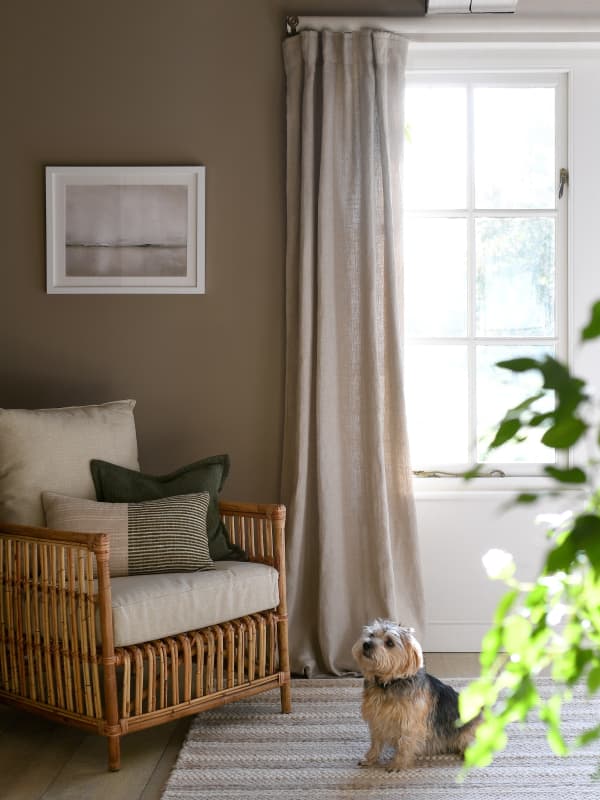 Living room with a wicker style chair, green cushions, and a small dog sitting on a striped rug. Sunlight streams through a window with beige linen curtains.